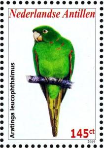 Colnect-3933-730-White-eyed-Parakeet-nbsp--nbsp--nbsp--nbsp-Psittacara-leucophthalmus.jpg