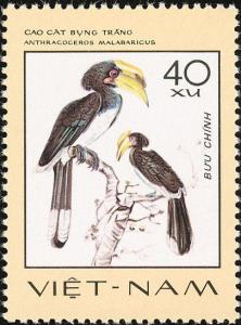 Colnect-3682-054-Malabar-Pied-Hornbill-Anthracoceros-malabaricus.jpg