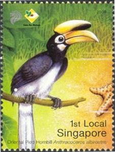 Colnect-609-908-Oriental-Pied-Hornbill-Anthracoceros-albirostris.jpg