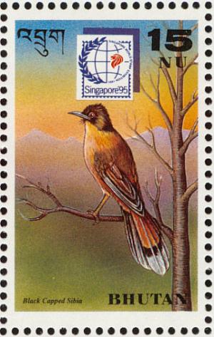 Colnect-1720-418-Rufous-Sibia-nbsp-Heterophasia-capistrata.jpg