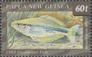 Colnect-3128-102-New-Guinea-Rainbowfish-Melanotaenia-affinis.jpg