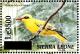 Colnect-3561-487-African-Golden-Oriole-nbsp--nbsp--nbsp--nbsp-Oriolus-auratus.jpg