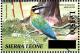 Colnect-3561-488-White-throated-Bee-eater-nbsp--nbsp--nbsp--nbsp-Merops-albicollis.jpg