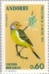 Colnect-141-913-Citril-Finch-Serinus-citrinella-.jpg