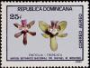 Colnect-2288-719-Encyclia-truncata.jpg