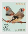 Colnect-5892-244-Zebra-Finch-Taeniopygia-guttata.jpg