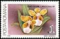 Colnect-3197-914-Oncidium-lanceanum.jpg