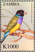 Colnect-3507-660-Gouldian-Finch%C2%A0-%C2%A0Erythrura-gouldiae.jpg