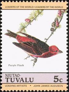 Colnect-1767-944-Purple-Finch-Haemorhous-purpureus.jpg