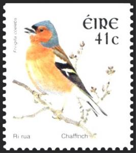 Colnect-1886-875-Chaffinch-Fringilla-coelebs.jpg