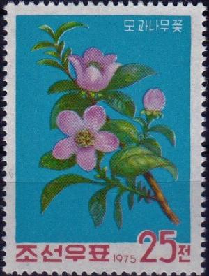 Colnect-3862-750-Chinese-quince-Pseudocydonia-sinensis.jpg