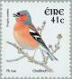 Colnect-129-892-Chaffinch-Fringilla-coelebs.jpg