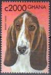 Colnect-1088-983-Basset-Hound-Canis-lupus-familiaris.jpg