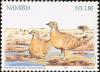 Colnect-3744-555-Burchell-s-Sandgrouse-Pterocles-burchelli.jpg