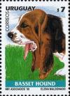 Colnect-491-742-Basset-HoundCanis-lupus-familiaris.jpg