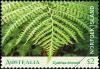 Colnect-5714-881-Norfolk-Island-Tree-Fern-Cyathea-brownii.jpg