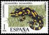 Colnect-649-147-Fire-Salamander-Salamandra-salamandra.jpg