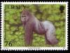 Colnect-706-731-Western-Lowland-Gorilla-Gorilla-g-gorilla.jpg