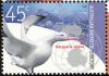 Colnect-813-154-Macquarie-Station-Wandering-Albatross-Diomedea-exulans-.jpg