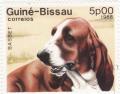 Colnect-1112-428-Basset-Hound-Canis-lupus-familiaris.jpg