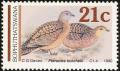 Colnect-1456-695-Burchell-s-Sandgrouse-Pterocles-burchelli.jpg