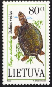 Colnect-1994-521-European-Pond-Turtle-Emys-orbicularis-.jpg