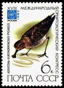 Colnect-943-741-Spoon-billed-sandpiper-Eurynorhynchus-pygmeus.jpg