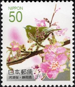 Colnect-906-243-Silvereye-and-Kawazu-Cherry-Blossoms.jpg