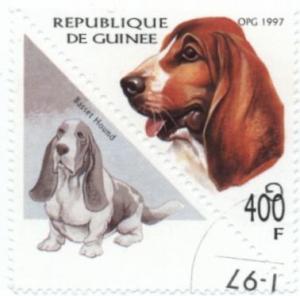 Colnect-1114-255-Basset-Hound-Canis-lupus-familiaris.jpg