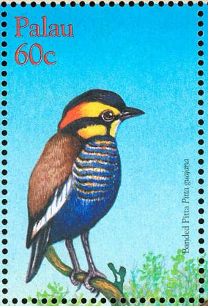 Colnect-1638-083-Javan-Banded-Pitta-Pitta-guajana.jpg