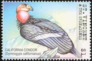 Colnect-1748-185-California-Condor-Gymnogyps-californianus.jpg