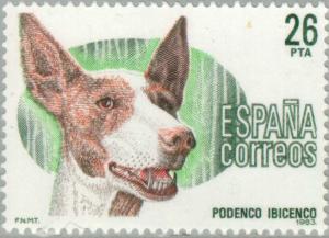 Colnect-175-788-Ibizan-Hound-Canis-lupus-familiaris.jpg