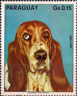 Colnect-2280-951-Basset-Hound-Canis-lupus-familiaris.jpg