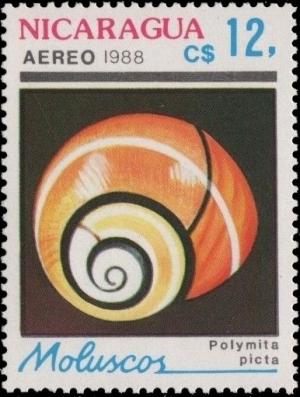 Colnect-2757-542-Cuban-Land-Snail-Polymita-picta.jpg