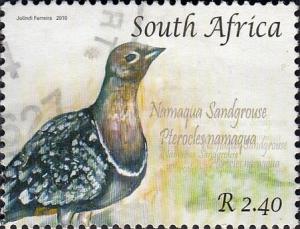 Colnect-3372-513-Namaqua-Sandgrouse-Pterocles-namaqua.jpg