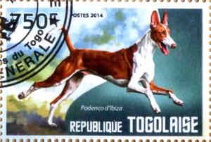 Colnect-3464-563-Ibizan-Hound-Canis-lupus-familiaris.jpg