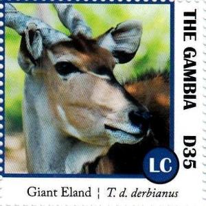 Colnect-3531-926-Giant-Eland-Taurotragus-derbianus.jpg