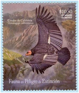 Colnect-434-052-Californian-Condor-Gymnogyps-californianus.jpg