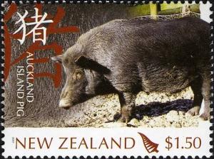 Colnect-446-934-Auckland-Island-Pig-Sus-scrofa-domestica.jpg