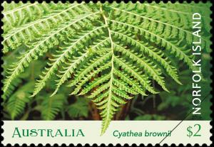 Colnect-5714-881-Norfolk-Island-Tree-Fern-Cyathea-brownii.jpg