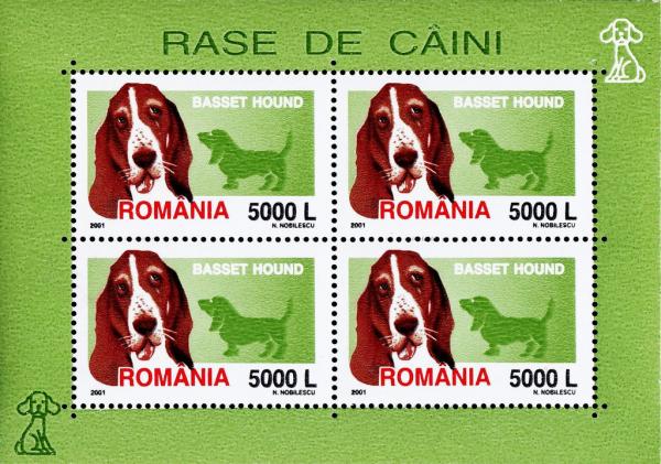 Colnect-5000-256-Basset-Hound-Canis-lupus-familiaris.jpg