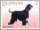 Colnect-2854-054-Afghan-Hound-Canis-lupus-familiaris.jpg