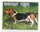 Colnect-2887-755-Basset-Hound-Canis-lupus-familiaris.jpg