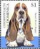 Colnect-3238-400-Basset-Hound-Canis-lupus-familiaris.jpg