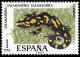 Colnect-649-147-Fire-Salamander-Salamandra-salamandra.jpg