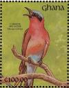 Colnect-1459-791-Southern-Carmine-Bee-eater-Merops-nubicoides.jpg