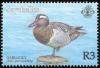 Colnect-1721-657-Garganey-Anas-querquedula.jpg