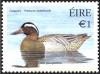 Colnect-1863-861-Garganey%C2%A0Anas-querquedula.jpg