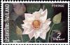 Colnect-2229-731-Nelumbo-Nucifera.jpg