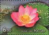 Colnect-2359-178-Nelumbo-nucifera.jpg